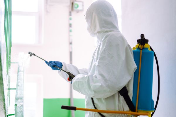 Απεντόμωση/Μυοκτονία